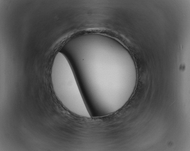 X0000101471351200807071209
