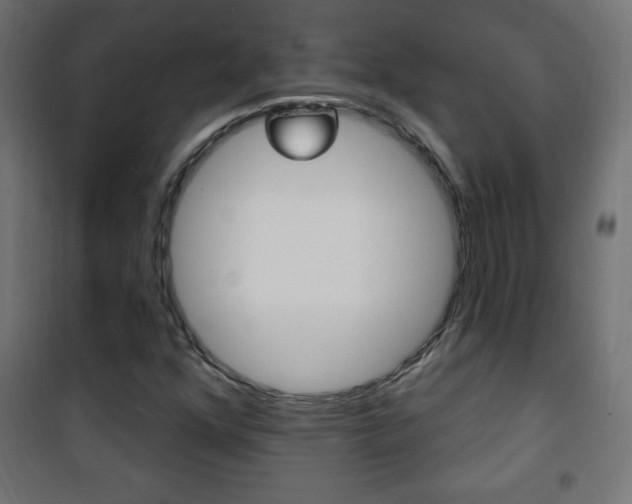 X0000101471352200807071209
