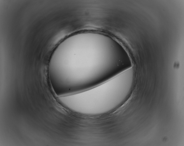 X0000101471355200807071209