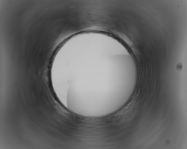 X0000101471356200807071209