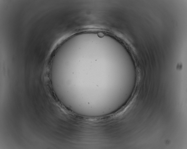 X0000101471357200807071209