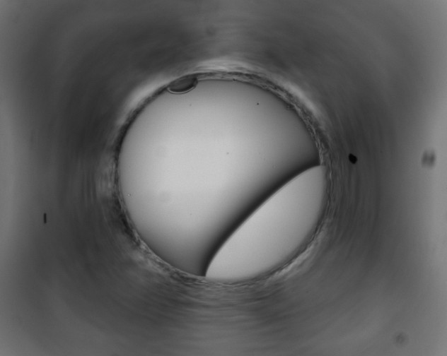 X0000101471358200807071209