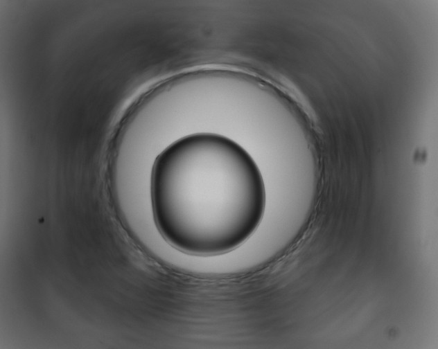 X0000101471360200807071209