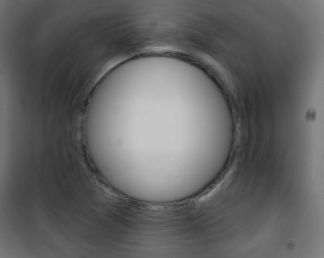 X0000101471361200807071209