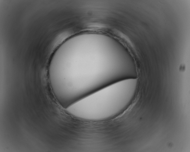 X0000101471362200807071209