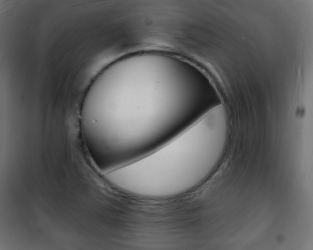 X0000101471363200807071209