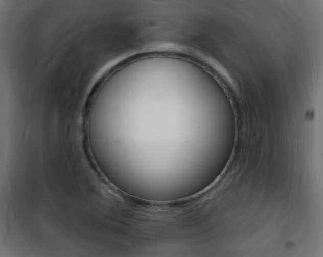X0000101471364200807071209
