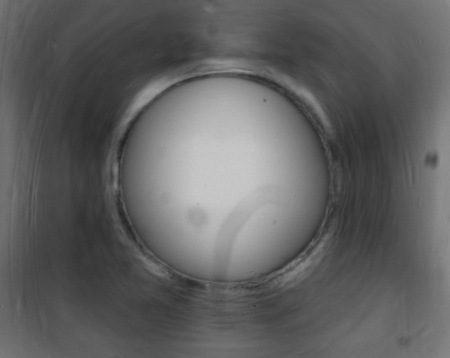 X0000101471365200807071209