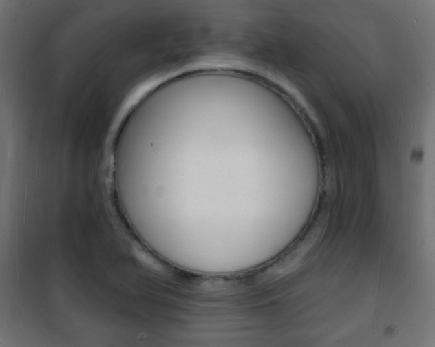 X0000101471366200807071209