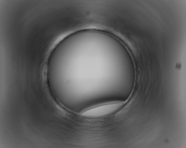 X0000101471367200807071209