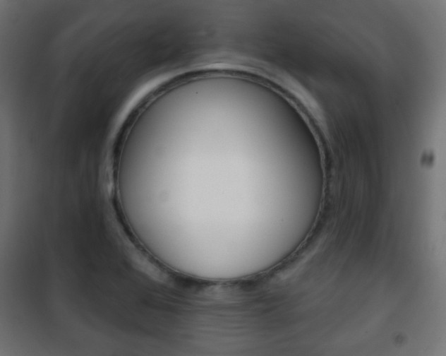 X0000101471368200807071209