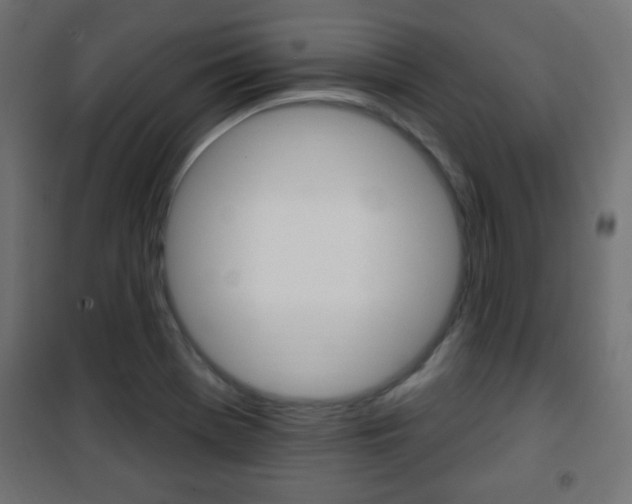 X0000101471369200807071209