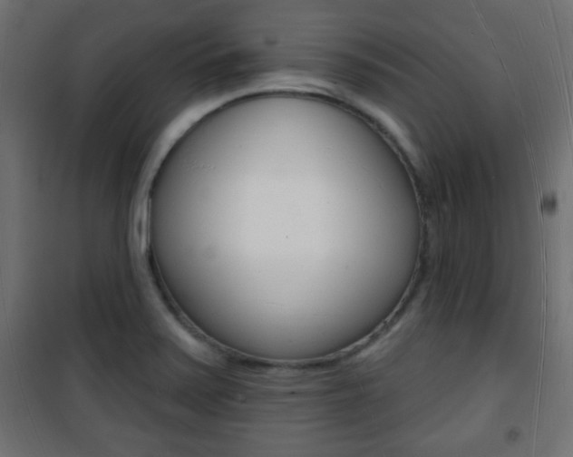 X0000101471371200807071209