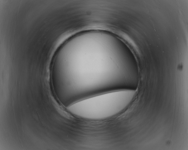 X0000101471372200807071209