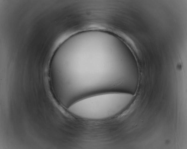 X0000101471373200807071209