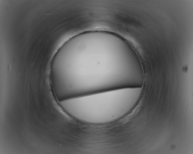 X0000101471374200807071209
