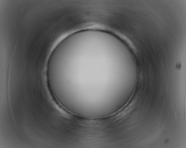 X0000101471375200807071209