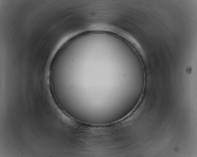 X0000101471376200807071209