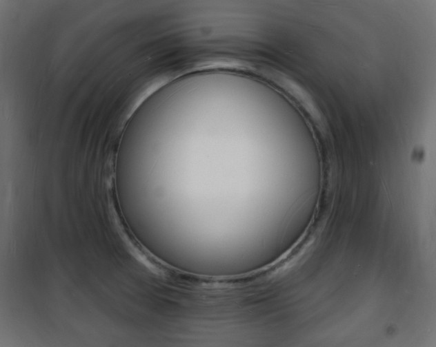 X0000101471377200807071209