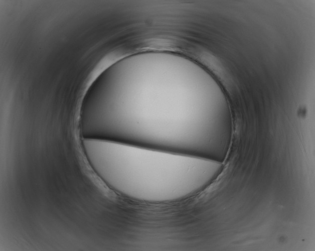 X0000101471378200807071209