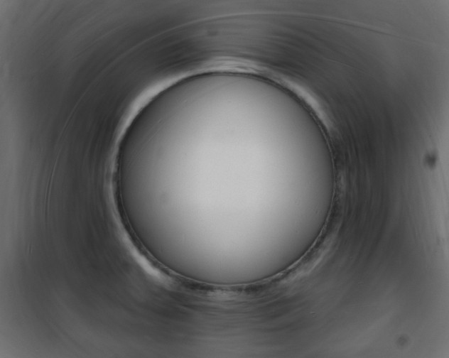 X0000101471379200807071209
