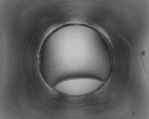X0000101471380200807071209