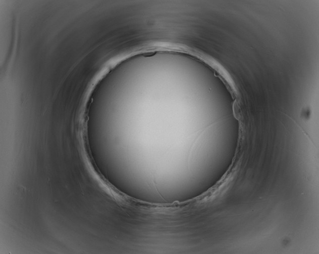 X0000101471381200807071209