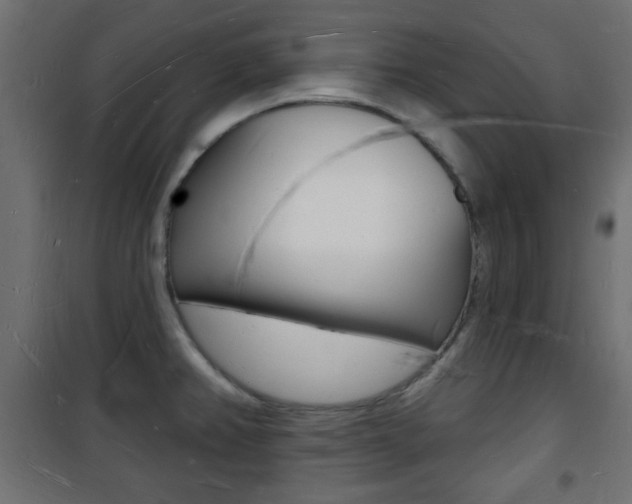 X0000101471382200807071209