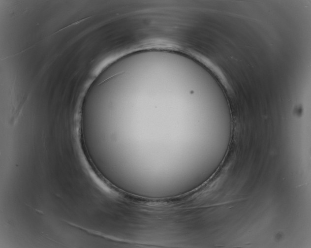 X0000101471383200807071209