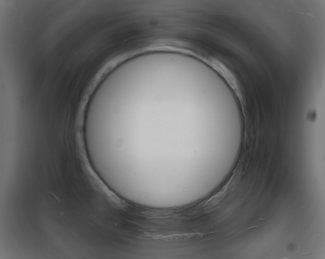 X0000101471384200807071209