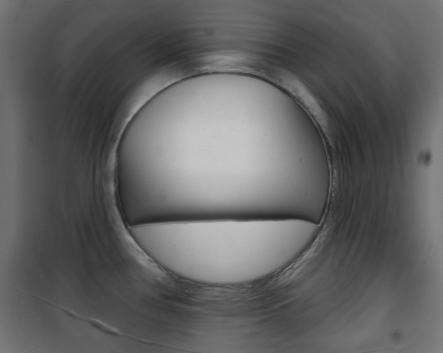 X0000101471386200807071208