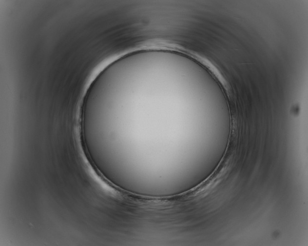 X0000101471387200807071208