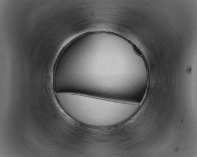 X0000101471388200807071208