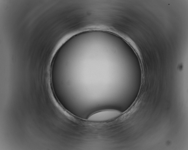 X0000101471389200807071208