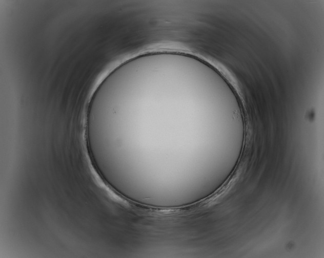 X0000101471390200807071208