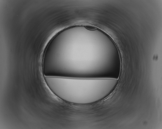 X0000101471392200807071208