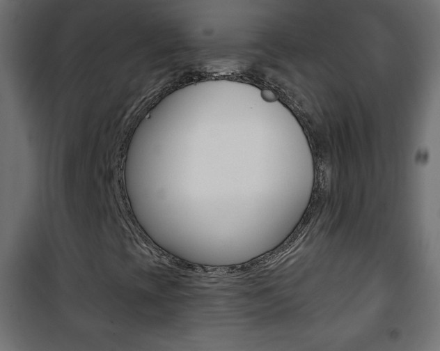 X0000101471393200807071208