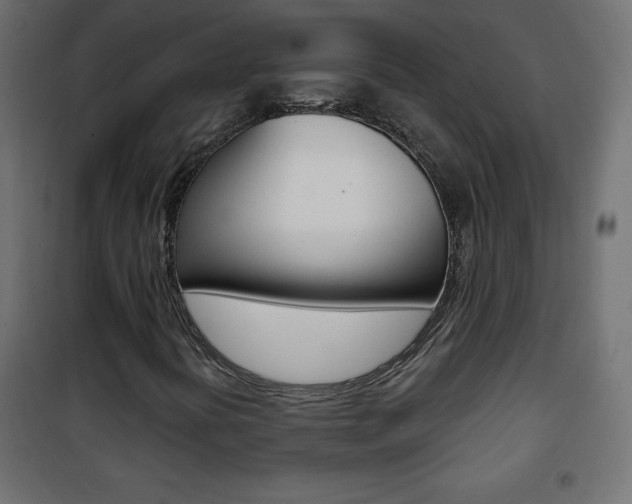 X0000101471394200807071208