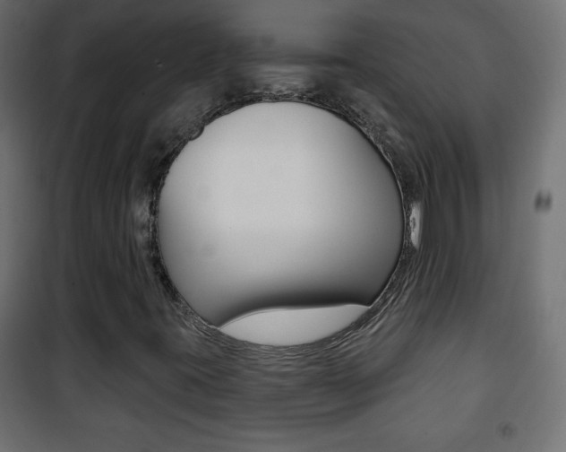 X0000101471395200807071208