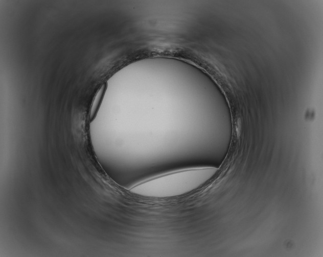 X0000101471396200807071208