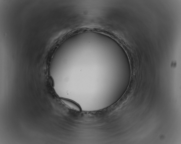X0000101471398200807071208