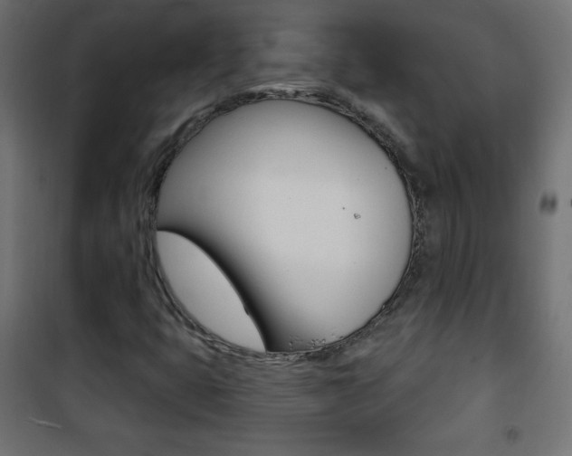 X0000101471399200807071208