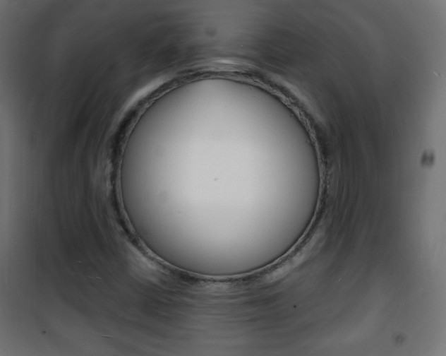 X0000101471402200807071208