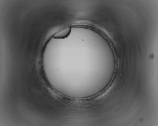 X0000101471405200807071208