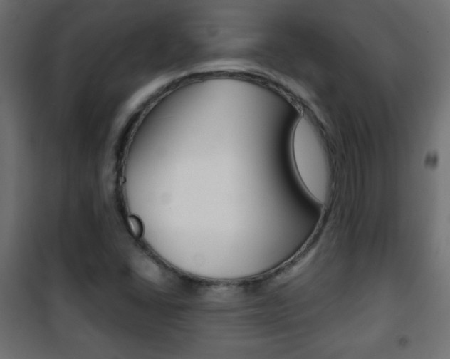 X0000101471406200807071208