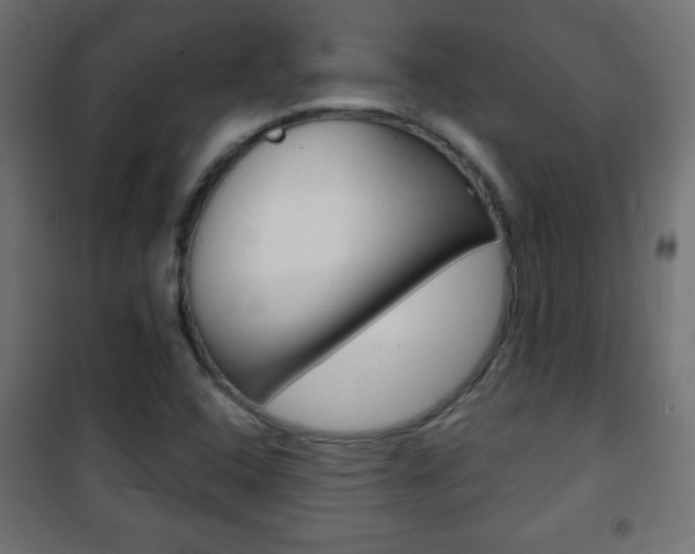X0000101471408200807071208