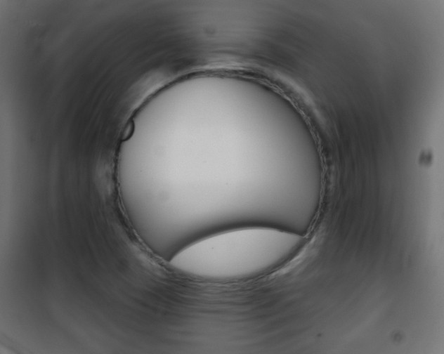X0000101471409200807071208
