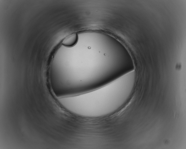 X0000101471410200807071208