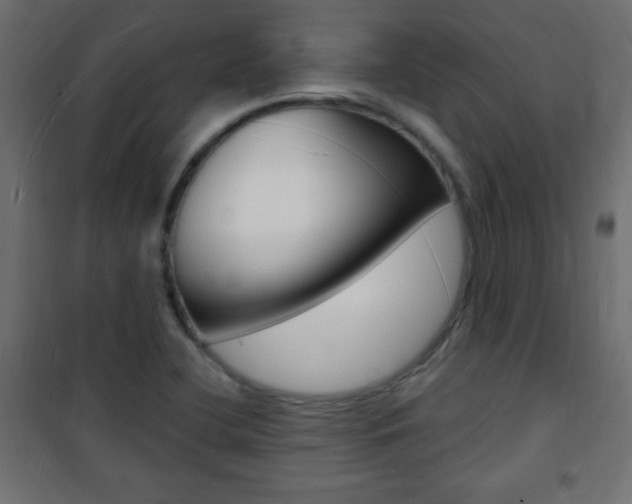 X0000101471412200807071208