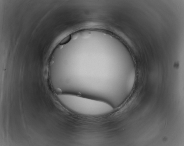 X0000101471413200807071208